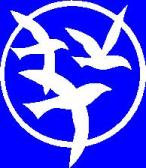 Pratt illustration_icon